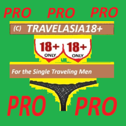 Icon PRO version